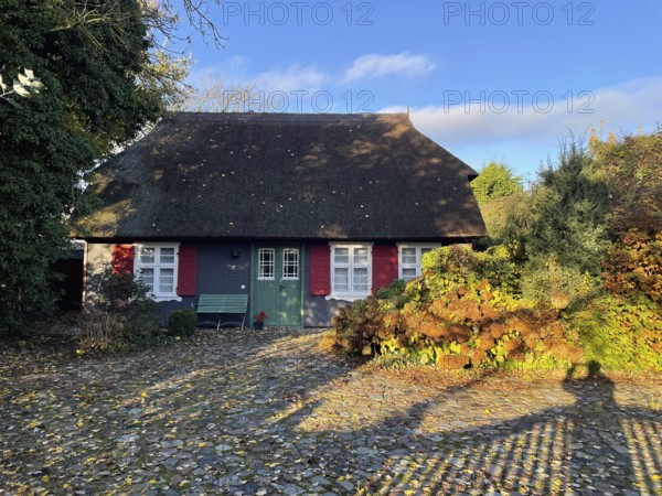 Künstlerdorf and Baltic resort Ahrenshoop, architecture, tradition, houses with thatched roofs,