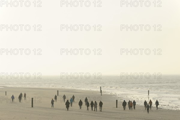 Sports group Nordic walking on the beach, North Sea, Norderney, East Frisian Islands, Lower Saxony,
