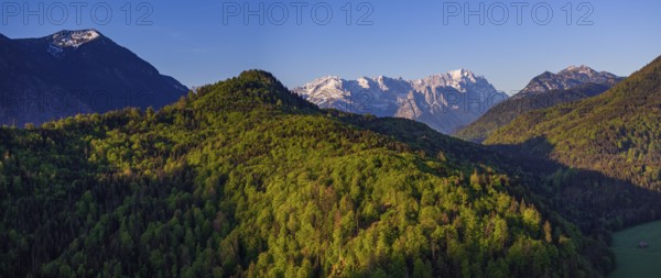 Aerial view, panorama, trees, forest, light green leaves, morning light, mountains, sunny, spring,