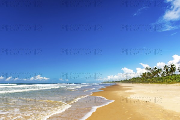 Deserted beach surrounded by coconut trees in Serra Grande on the southern coast of Bahia, Serra
