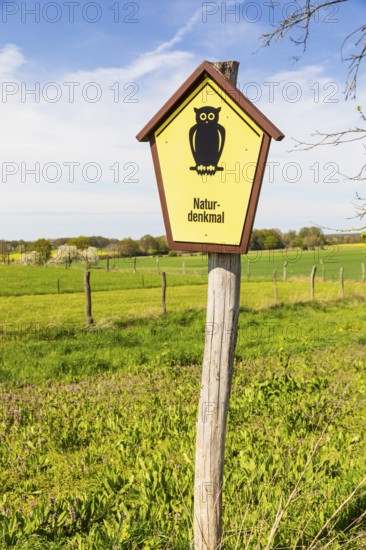 Natural monument sign on the country lane to Medingen with various tree species, many old and new