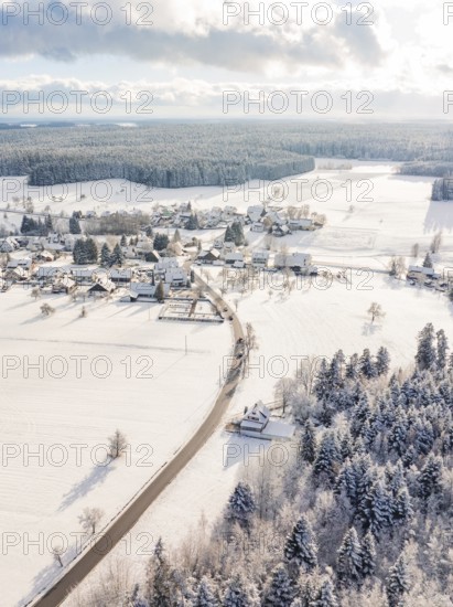 Snowy village with fields and trees, quiet winter atmosphere with sunny sky, Oberreichenbach, Black