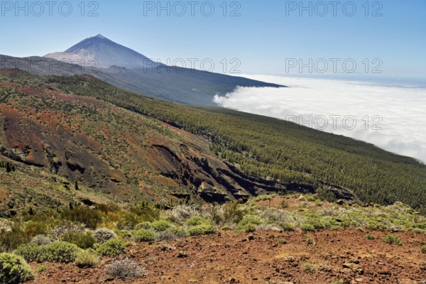 Volcanic landscape, behind volcano Pico del Teide above trade wind clouds, Teide National Park,
