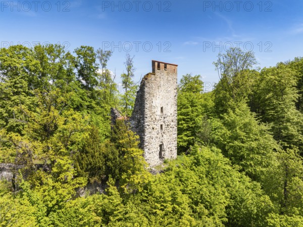 Aerial view of the Neuburg ruins, historical sight above Lake Constance, Untersee, Lake Rhine,