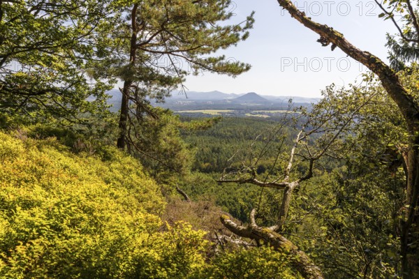 From the Großer Zschirnstein, view to the east to the Rosenberg, Reinhardtsdorf-Schöna, Saxon