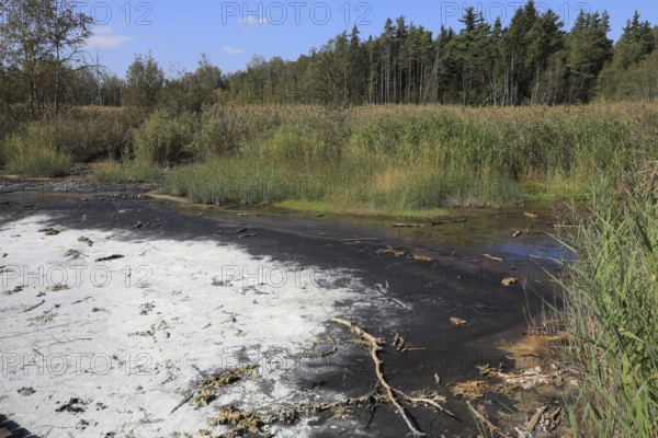 Mineralised water coming to the surface, deposits, formerly boiled down to salts in brewing huts,