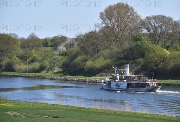 Paddle steamer, steamer, side-wheel steamer Freya sailing in spring in the Kiel Canal, Kiel Canal,