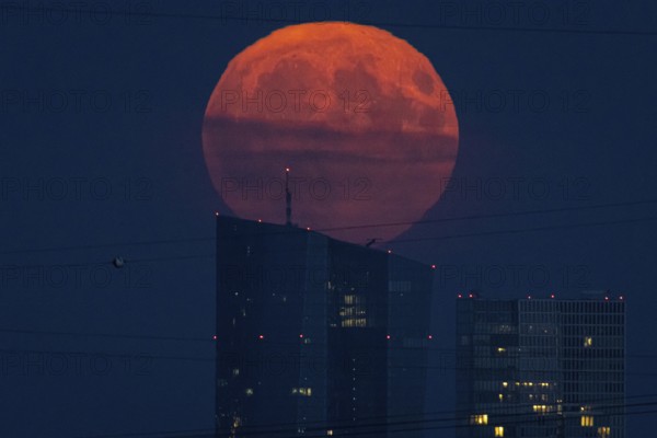 The full moon rises over the European Central Bank (ECB) in Frankfurt am Main, Frankfurt, Hesse,