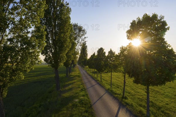 Aerial view of an avenue with evening sun, Kesseldorf, Wilsdruff, Saxony, Germany