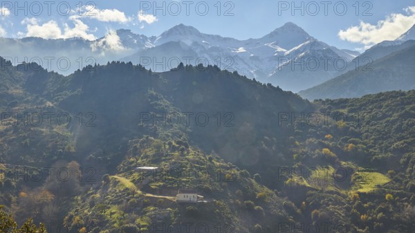 Morning mountain landscape with fog and sun rays breaking through the trees, Erymanthos Mountains,