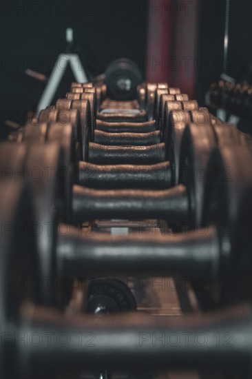 Lined up dumbbells in a fitness studio with a dark atmosphere, historic fitness studio, Bulls Fit,