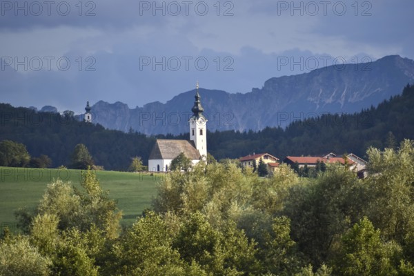 View from the Ainringer moss nature reserve to Ulrichshögl with the Lattengebirge mountains in the