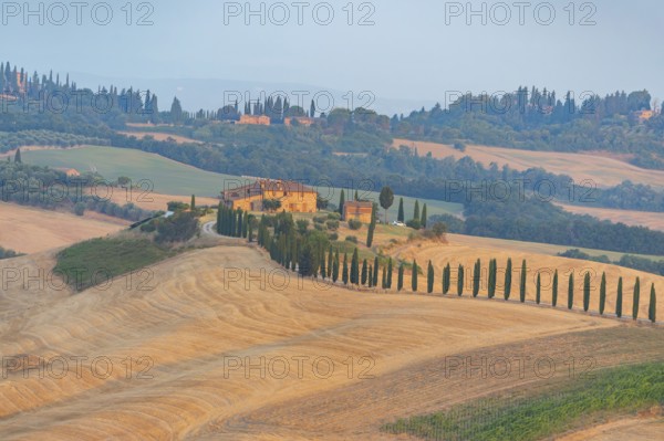 Typical Tuscan landscape in Crete Senesi with hills, trees, fields, cypresses and farm road in