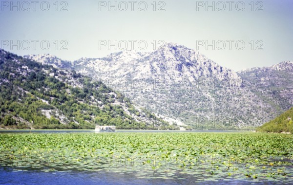 Boat trip on Lake Shkodra Lake Skadar Lake Scutari, between Albania and Montenegro, former