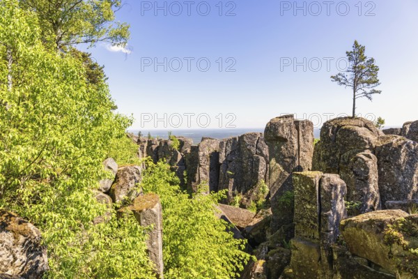 Single pine tree on rock boulders in a dramatic ravine landscape with a view to the horizon,