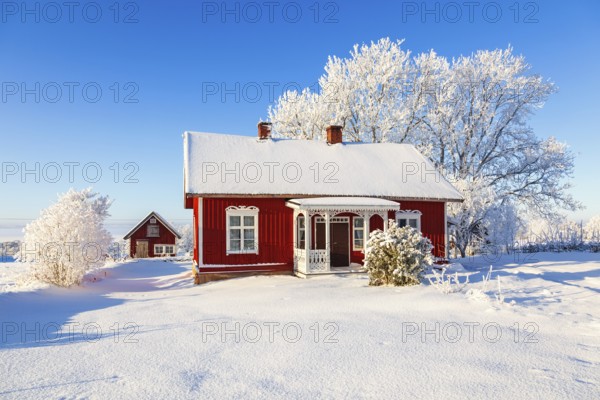 Idyllic old wooden red cottage a beautiful winter day with frosty trees and snow in the swedish