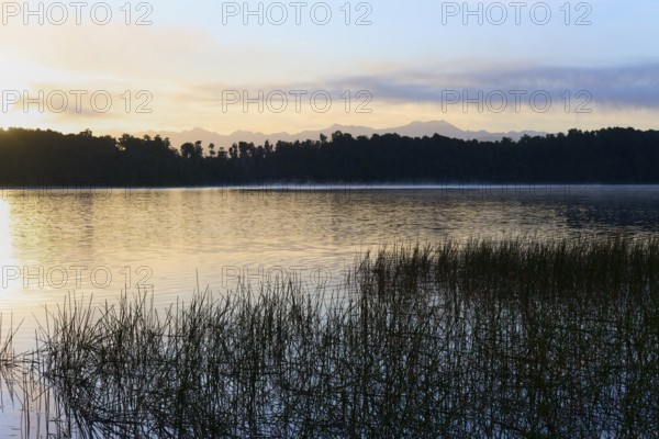 Lake in front of rising sun with plants and mountain silhouette, Lake Mahinapua, Ruatapu, South