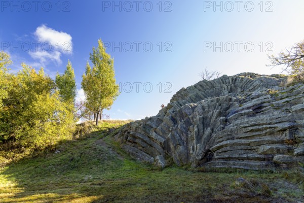 Exposed basalt columns from volcanic times, the so-called palm frond, Hirtstein, Marienberg,