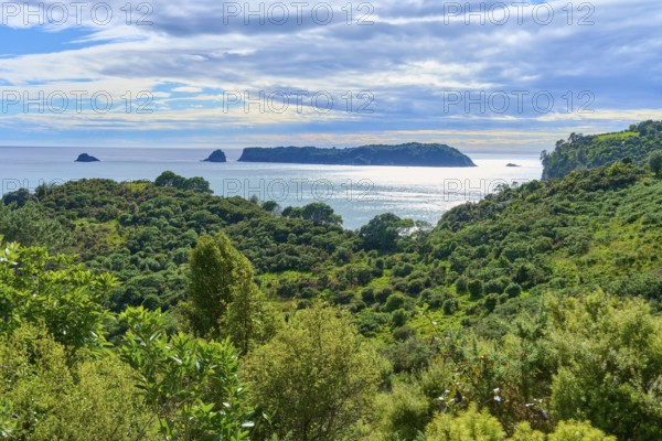 Panoramic view of the coast with green hills and islands in the sea, Cathedral Cove, Hahei,