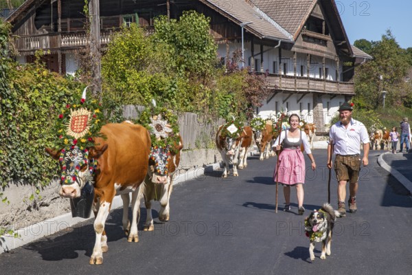 Alpine pasture descent through the village of Terfens, from the Eng-Alm through the Karwendel