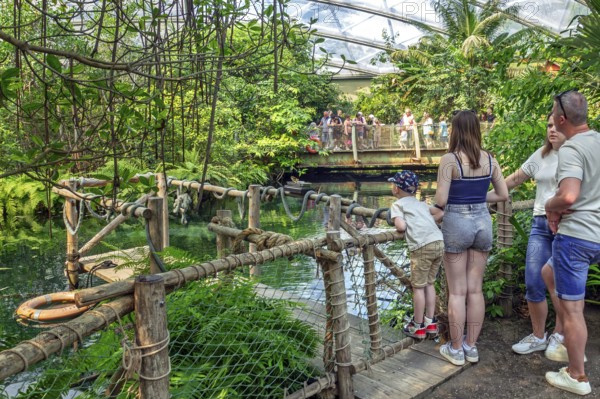 Visitors looking at exotic butterflies, fishes and tropical plants in the indoor mangrove forest at