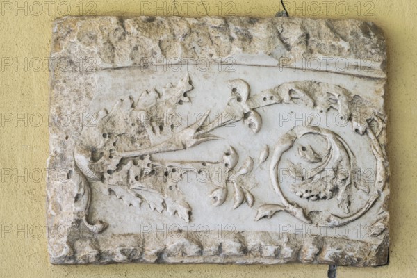 Fragment of a slightly curved frieze with tendrils, Städtisches Lapidarium, City of Stuttgart,
