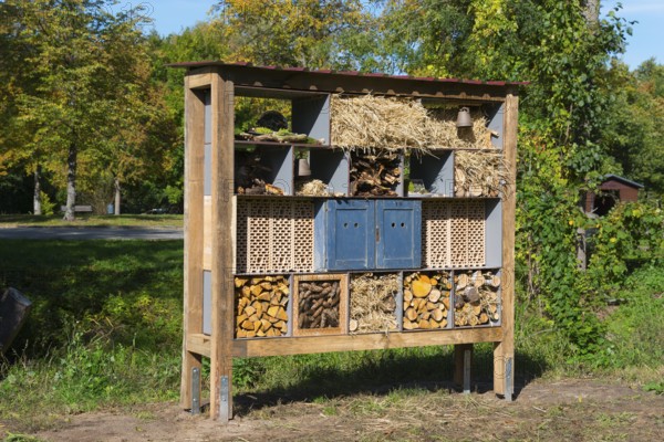 Large wooden insect hotel in an autumn garden, Magdeburgerforth, Jerichower Land, Saxony-Anhalt,