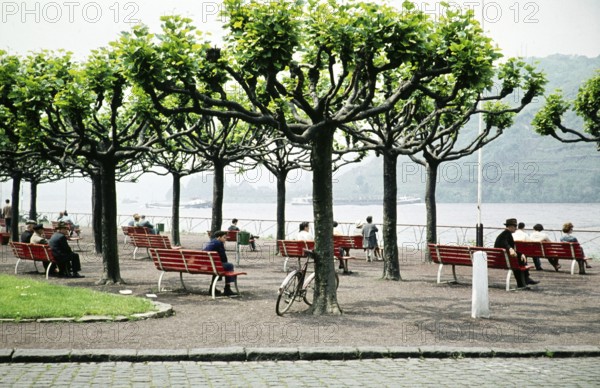 People sitting on benches on a terrace overlooking the Rhine, Andernach, Mayen Koblenz,