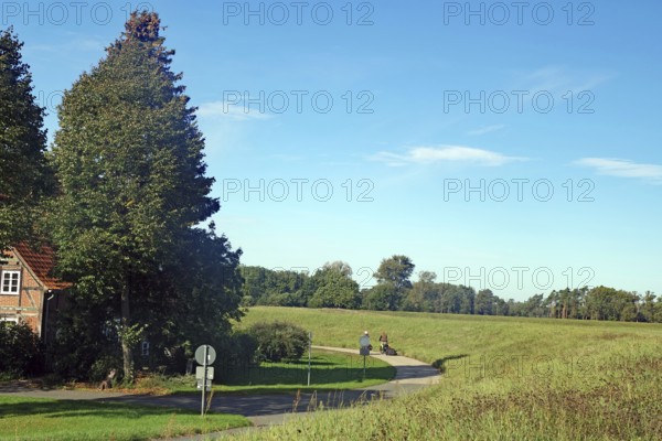 Cycle path along a dyke, green fields and trees under a blue sky on a clear day, autumn, cycle