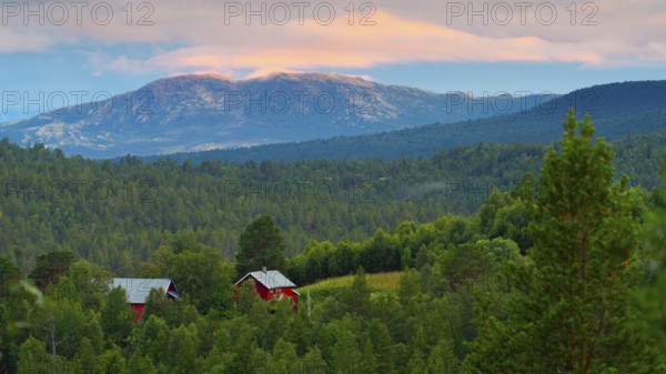View of Dovrefjell, mountain, landscape photo, landscape format, fir forest, red wooden house,