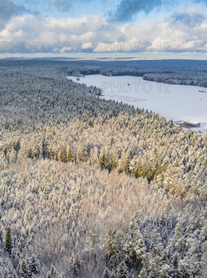 Snowy forest with fields, blue sky with clouds, cool, calm and natural atmosphere, Oberreichenbach,