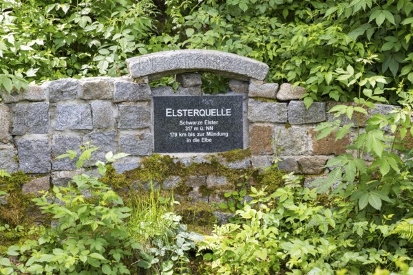 Elster spring, the source of the Black Elster, south of Elstra, near the district of Kindisch,