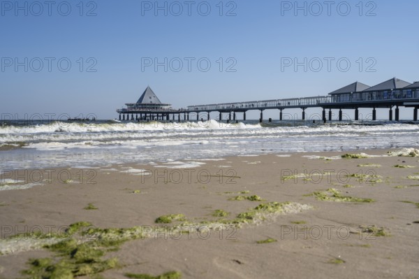 Pier, seaweed on the beach, Heringsdorf, Usedom Island, Baltic Sea, Mecklenburg-Western Pomerania,