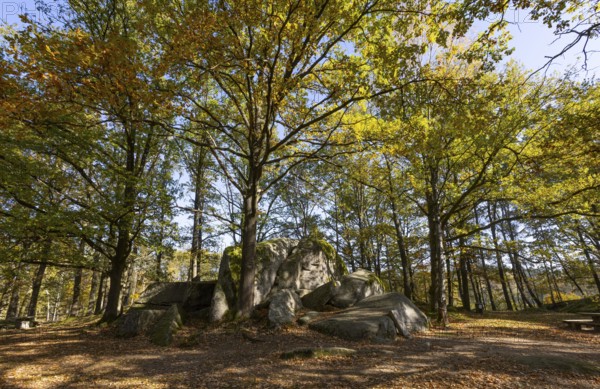 Granite rock Schuldstein, natural monument, Blockheide nature park Park near Gmünd, Waldviertel,