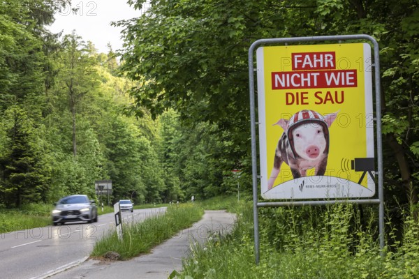 Safety campaign of the Rems-Murr district office. Motto: Don't drive like a pig. Kaiserbach,