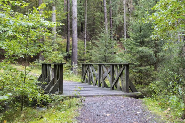 Alte Acht Bridge, wooden bridge on the Alte Acht hiking trail through the Dresden Heath, Dresden,