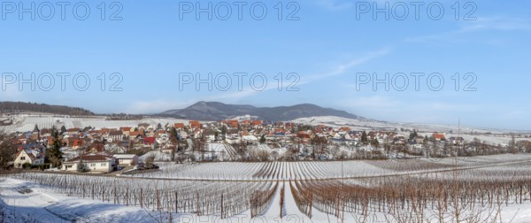 View over snow-covered vineyards to the wine village of Ranschbach, Southern Palatinate,