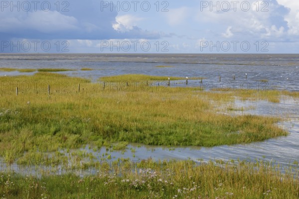 Salt marshes in the Wadden Sea National Park, Dark clouds over the sea, Norddeich, Norden, North