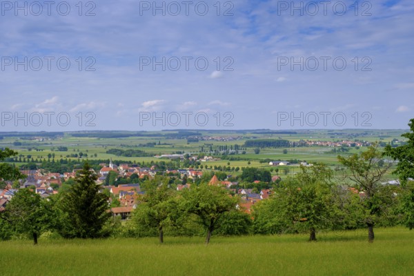 In the Buchleite nature reserve, Markt Berolzheim, Altmühltal, Middle Franconia, Franconia,