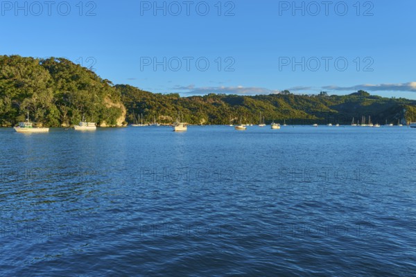 Blue water of the bay with several boats and green hills under a clear sky, Whitianga, Wakaito,