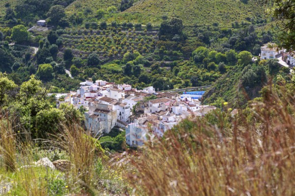 Picturesque village of Salares at the foot of Sierra Tejeda nestled in green hills and fields,