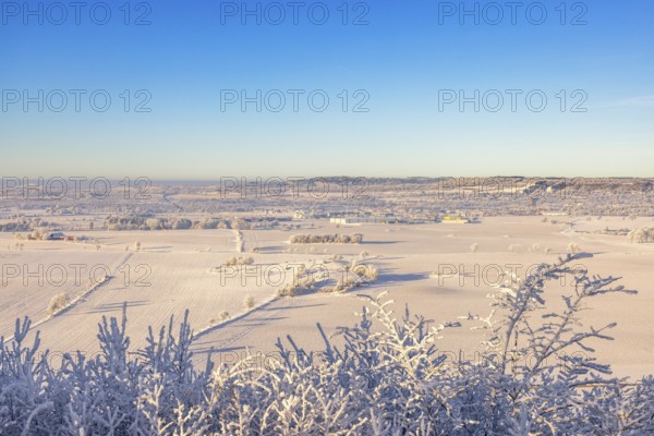 Beautiful countryside winter landscape view a cold sunny day with hoarfrost on the treetops and a