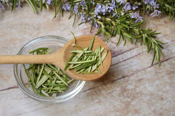 Rosemary, plucked rosemary leaves in wooden spoon and bowl