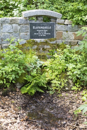 Elster spring, the source of the Black Elster, south of Elstra, near the district of Kindisch,