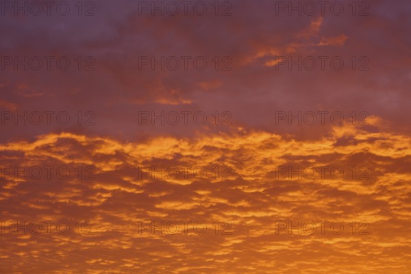 Dramatic sky with orange-red clouds at sunrise, Großheubach, Miltenberg, Main, Spessart, Bavaria,
