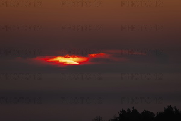 From the so-called Malerblick in Kronberg im Taunus, you can watch the sun break through the fog