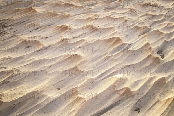 Fascinating texture of a pumice field in Catamarca, Argentina. The natural formations create a