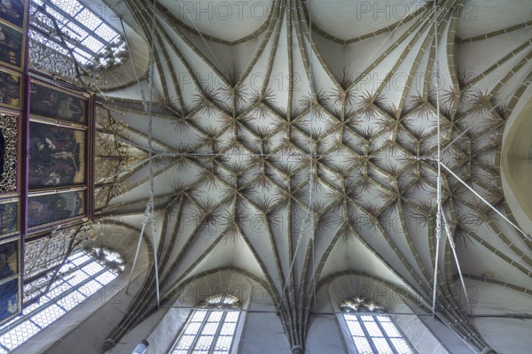 Net vault of the late Gothic three-nave hall church, 15th century, Birthälm fortified church,