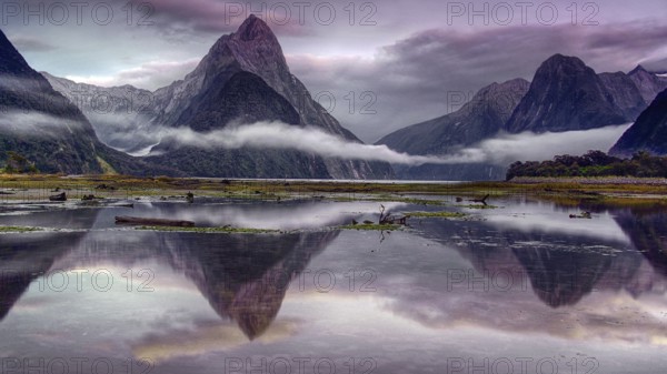 New Zealand, South Island, Milford Sound, landscape, water