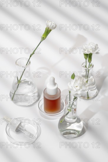 From above a serene setup of skin care products and fresh flowers in laboratory glassware, captured